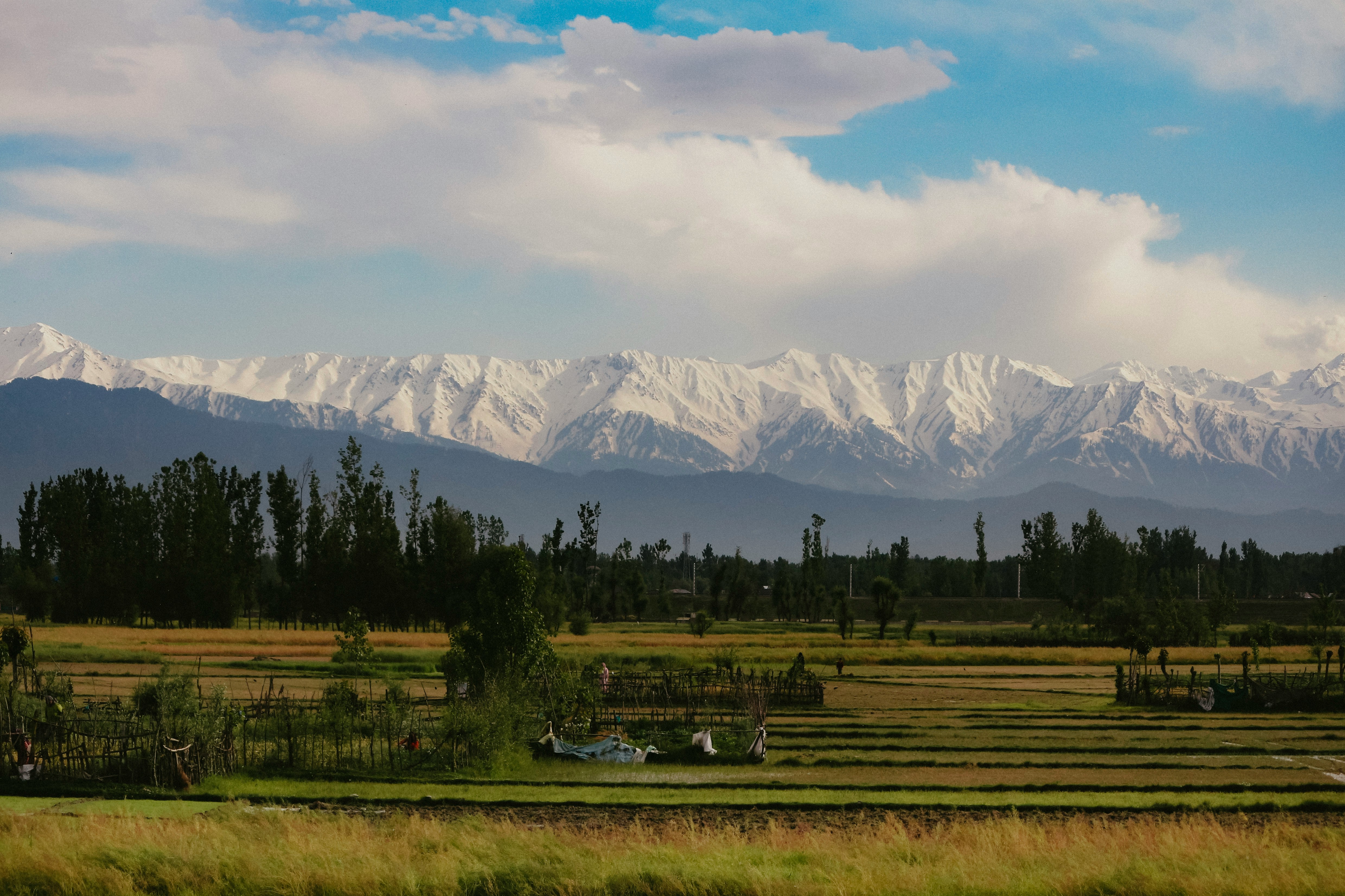 Kashmir Package